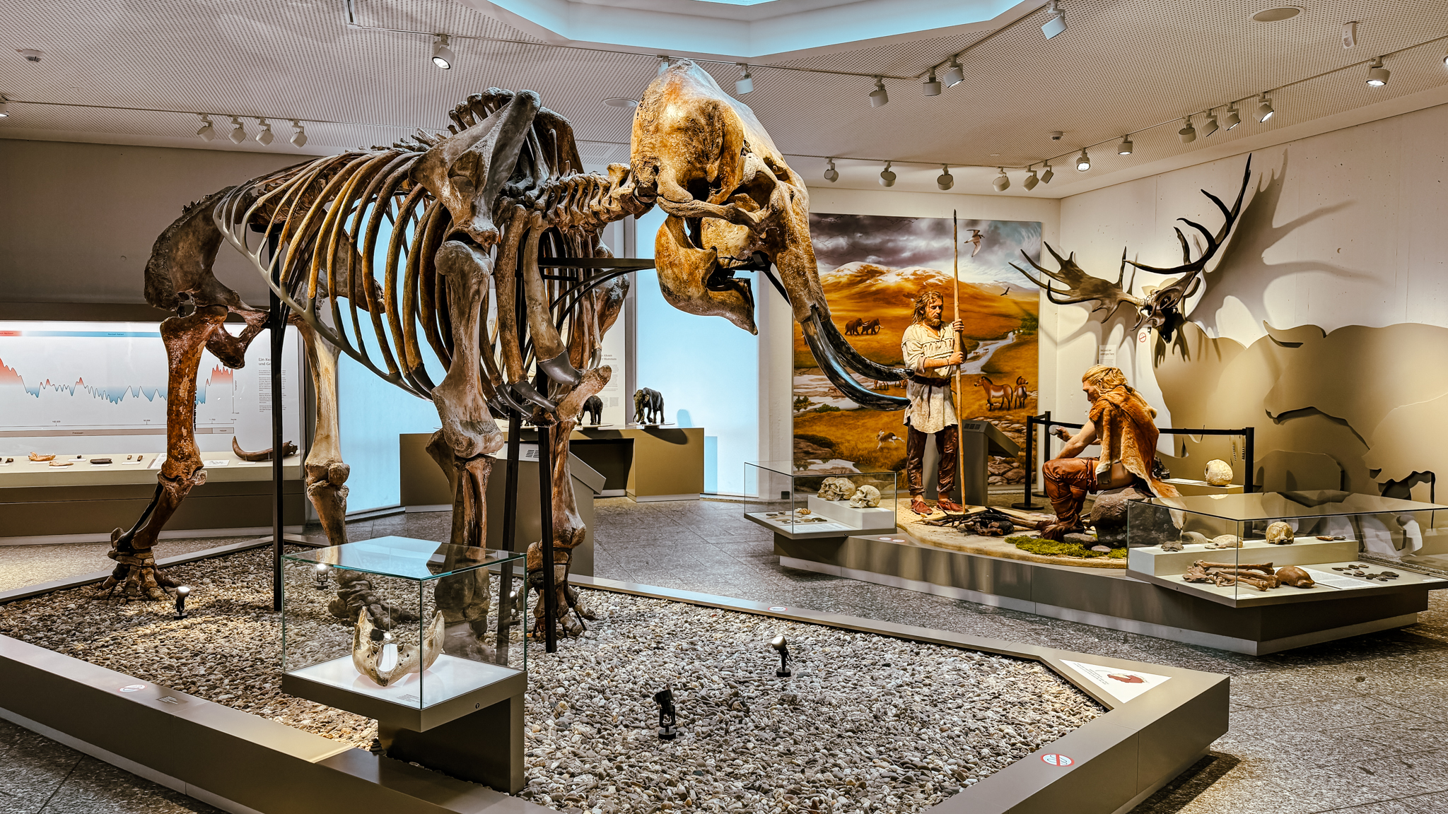 Eine Museumsausstellung zeigt ein großes Mammutskelett, prähistorische Menschenfiguren und Tiermodelle sowie informative Tafeln und Artefakte in Vitrinen, die eine antike Landschaft nachstellen.