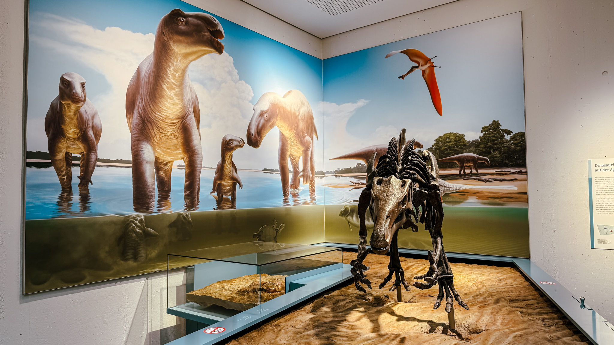 Ein Dinosaurierskelett wird in einem Museum ausgestellt, mit einer Wandmalerei von prähistorischen Dinosauriern und einem fliegenden Flugsaurier in einer Wasserlandschaft im Hintergrund. Glasvitrinen mit Fossilien und ein Sanddisplay umgeben das Skelett.