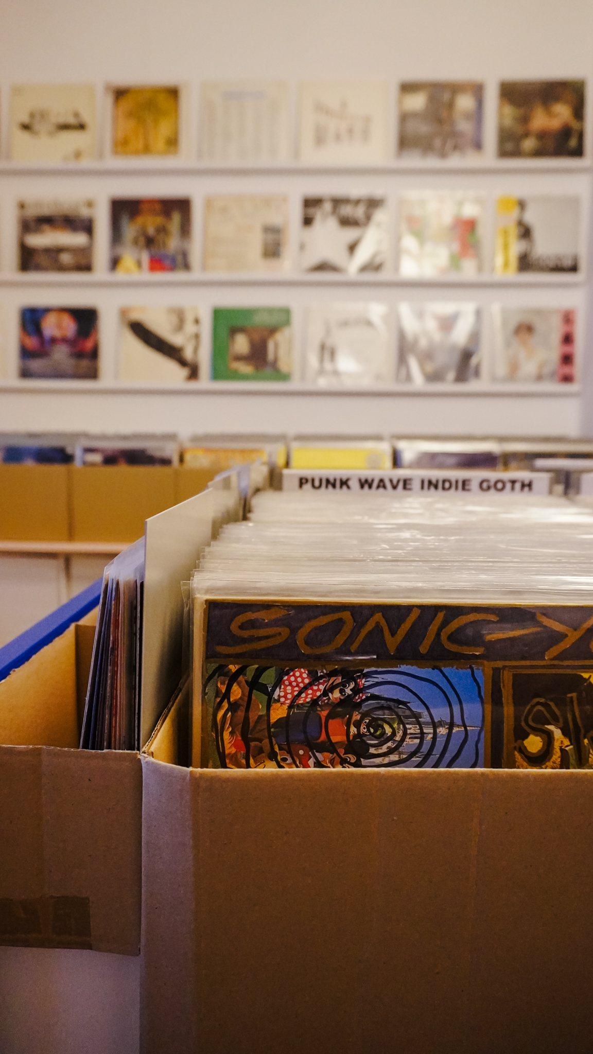 Im Vordergrund steht ein mit Schallplatten gefüllter Pappkarton, auf dem die Plattencover zu sehen sind. Im Hintergrund stehen Regale mit weiteren Schallplatten, und eine Trennwand mit der Aufschrift PUNK WAVE INDIE GOTH ist sichtbar.