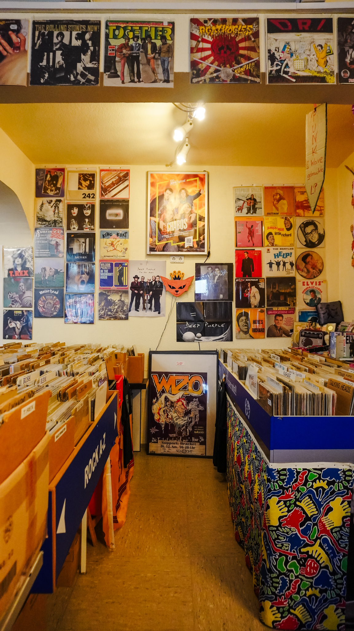 Ein farbenfroher, gemütlicher Plattenladen mit Reihen von Vinyl-Schallplatten in Behältern und bunten Postern an den Wänden, die verschiedene Künstler und Bands in einer nostalgischen Retro-Atmosphäre präsentieren.